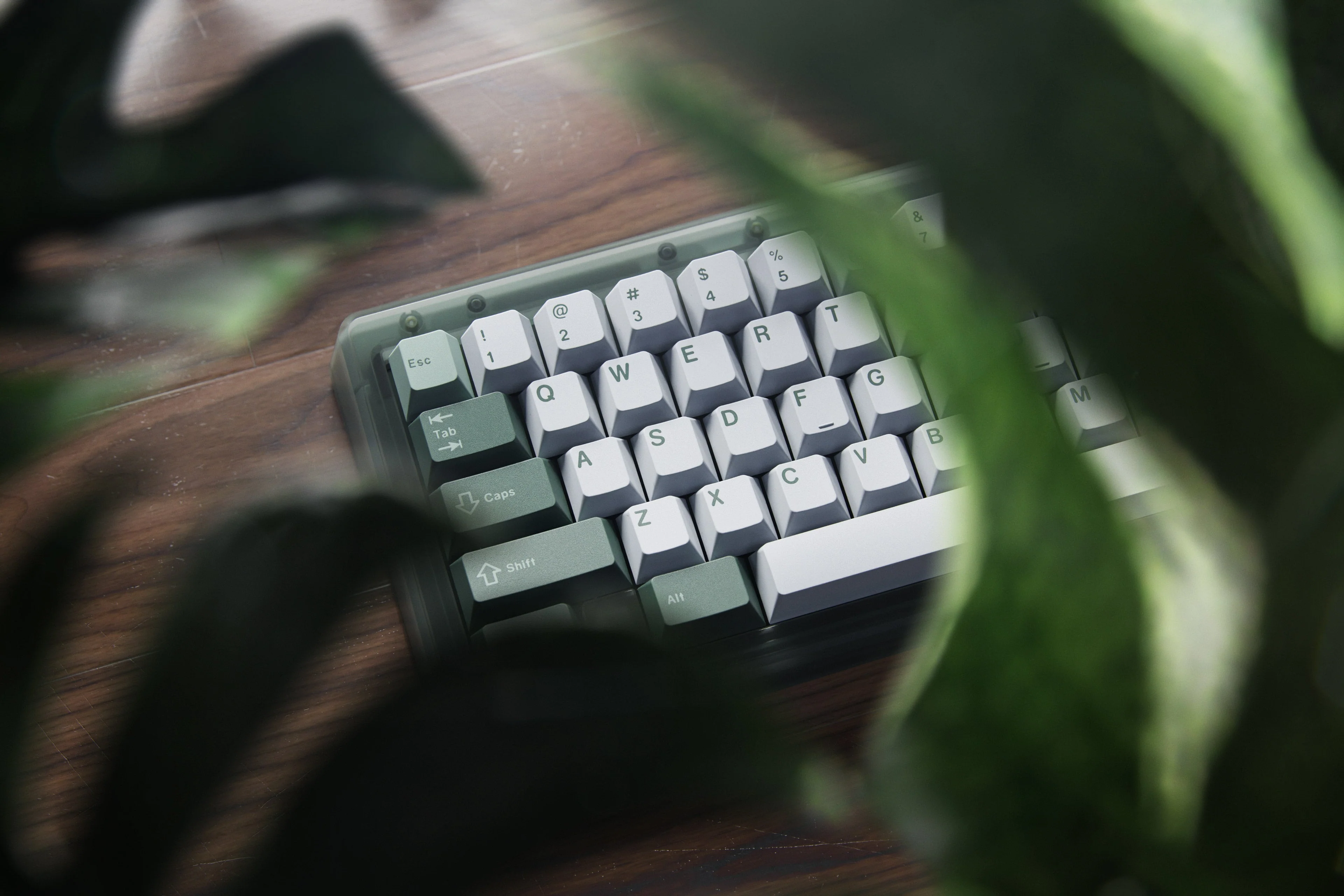 [In Stock] GMK CYL Botanical 2 - Image 5