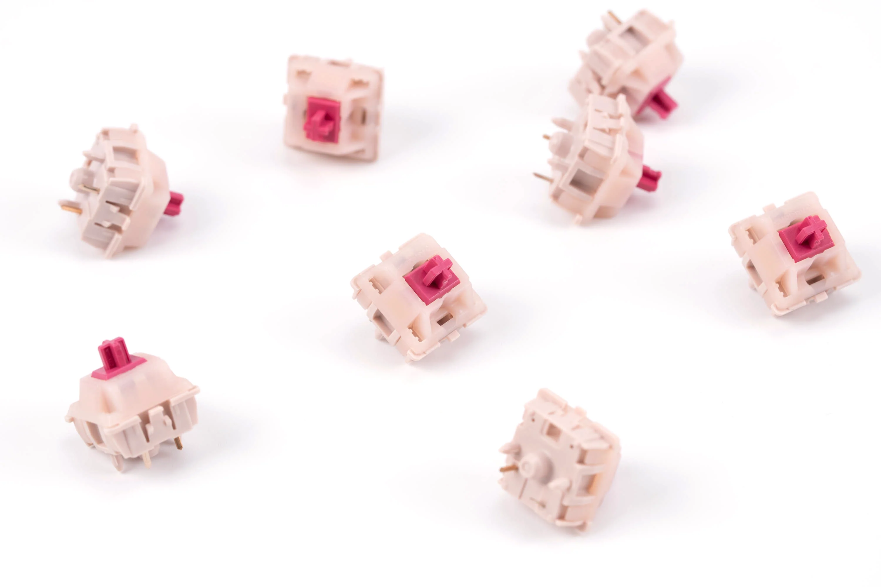 [In Stock] Cherry MX Petal Tactile Switches - Image 2