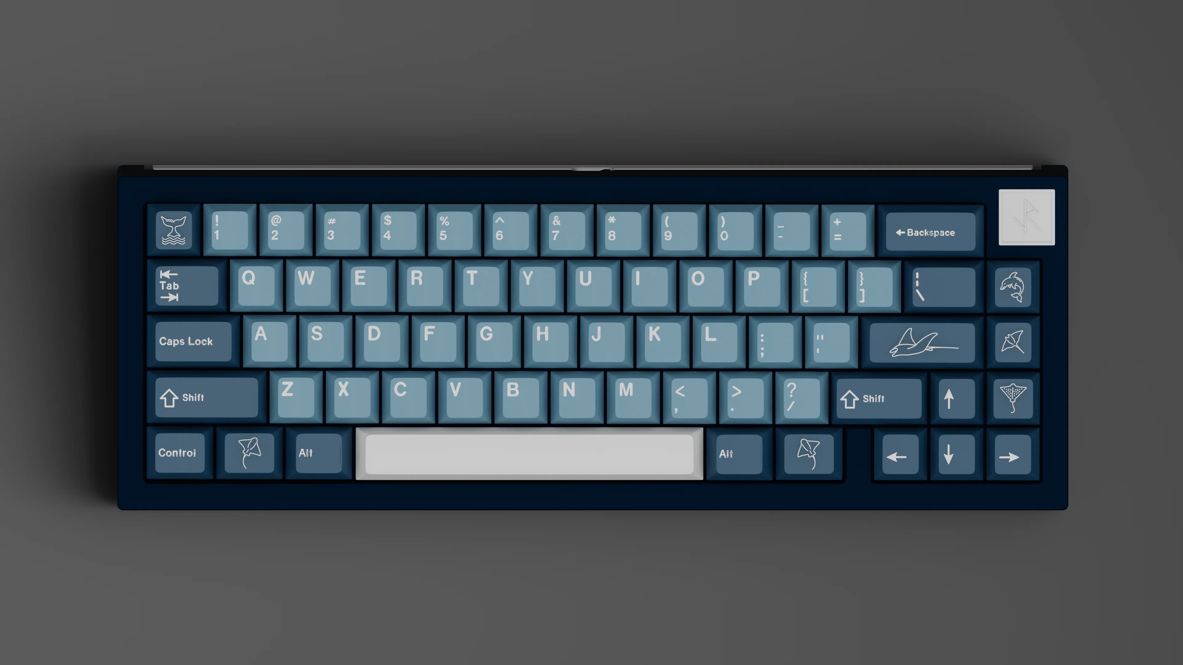 [In Stock] GMK CYL Manta - Image 7