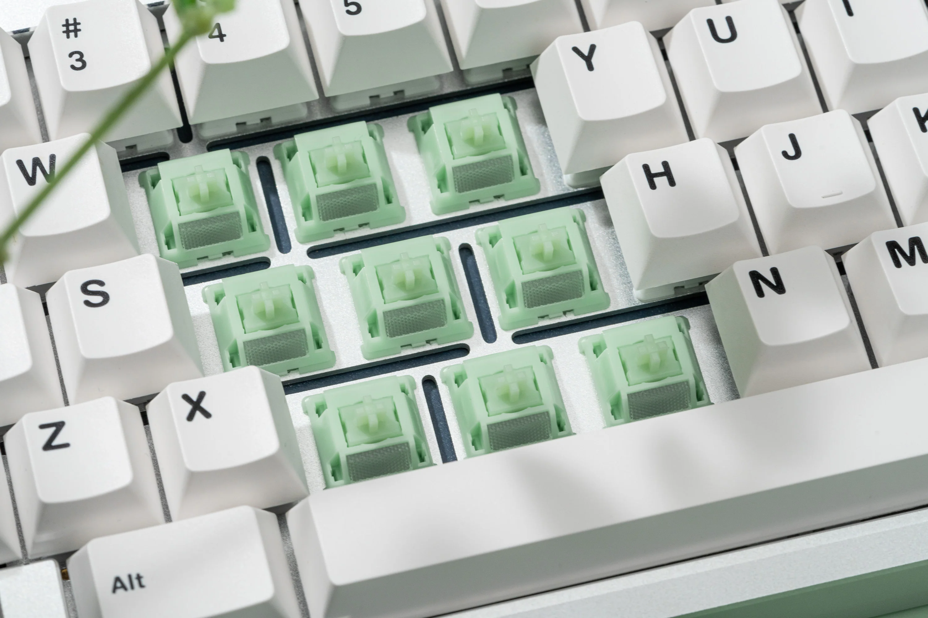 [In Stock] WS Jade Switches - Image 5
