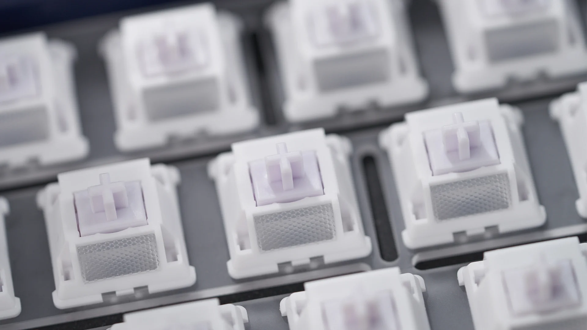 [In Stock] WS Morandi Switches - Image 10
