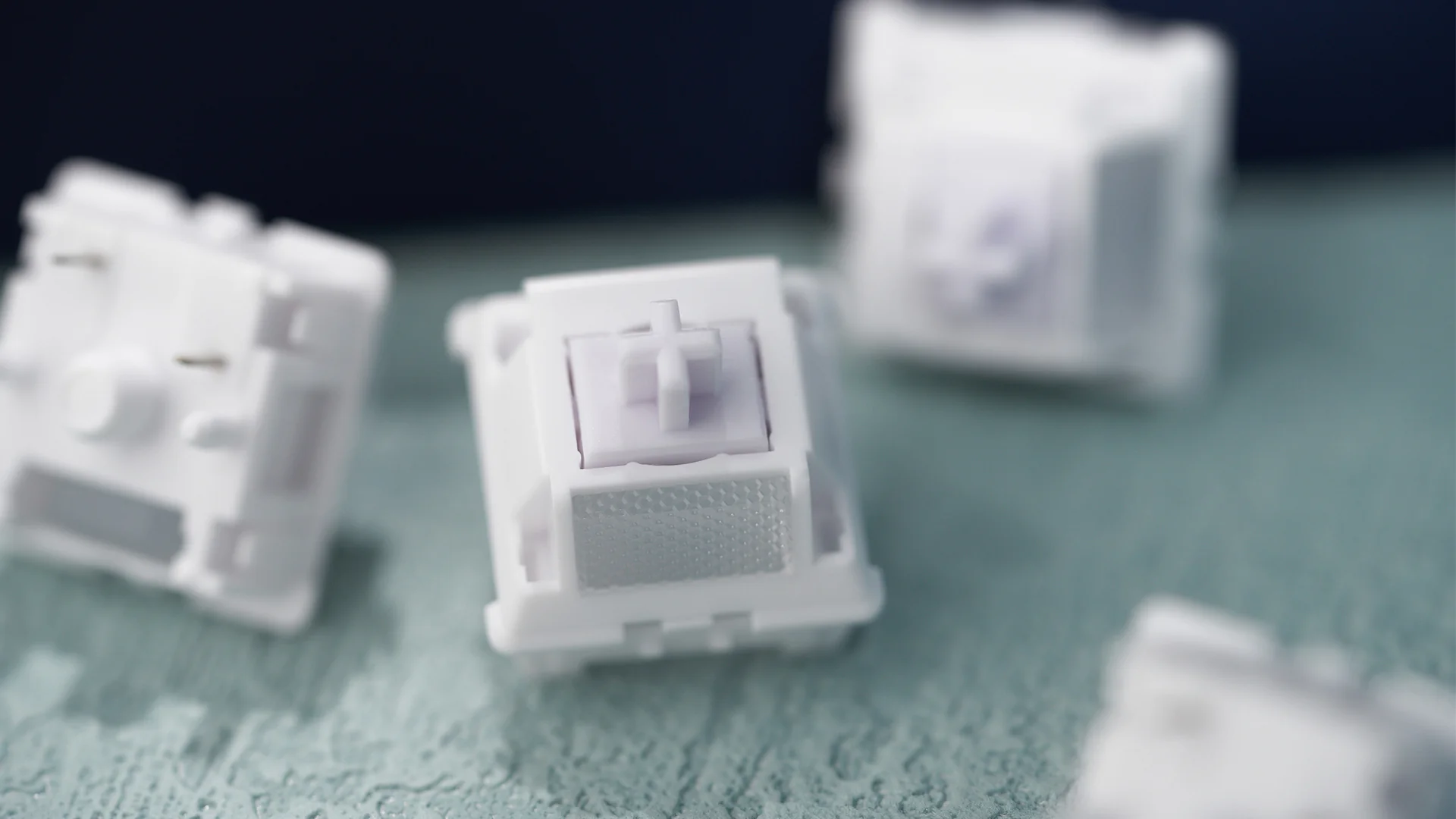 [In Stock] WS Morandi Switches - Image 12