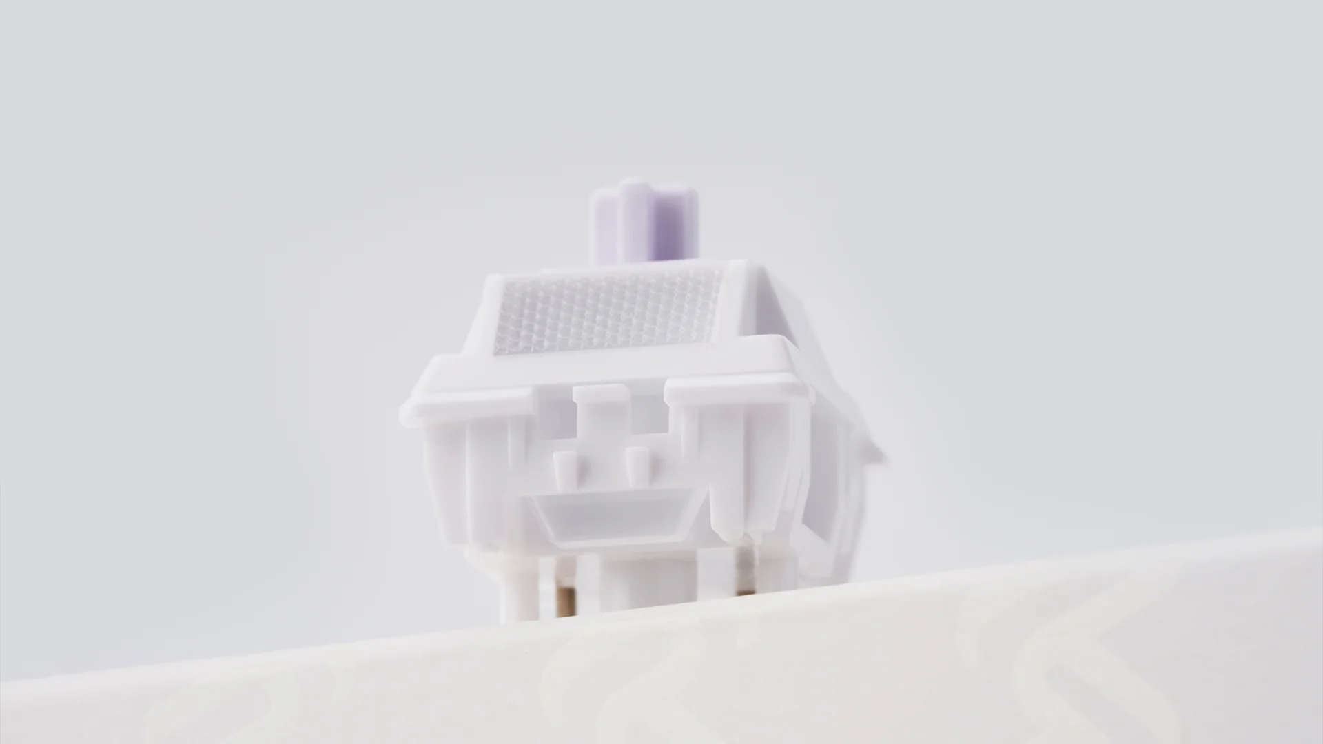 [In Stock] WS Morandi Switches - Image 3