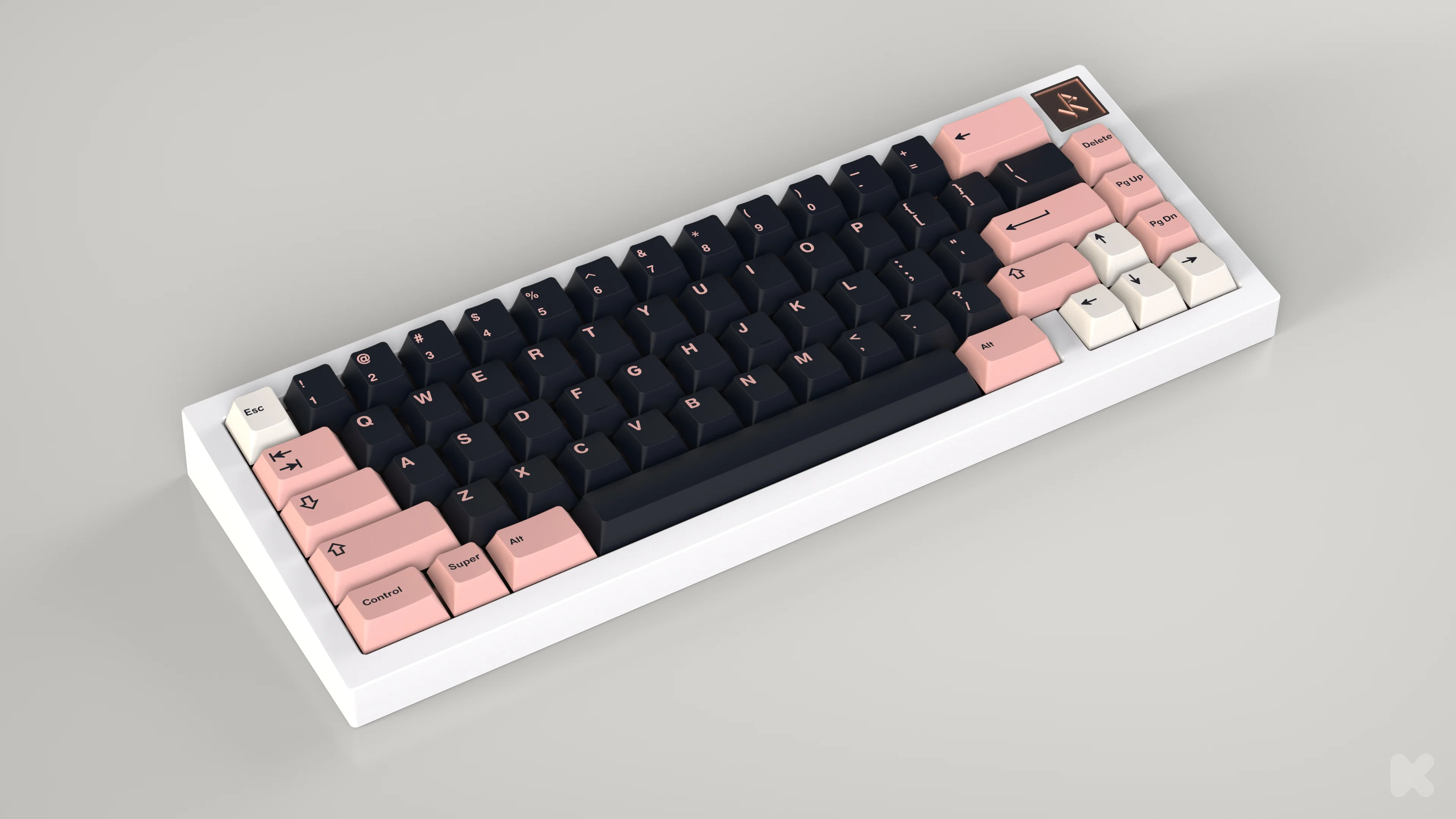 [In Stock] GMK CYL Truffelschwein - Image 4