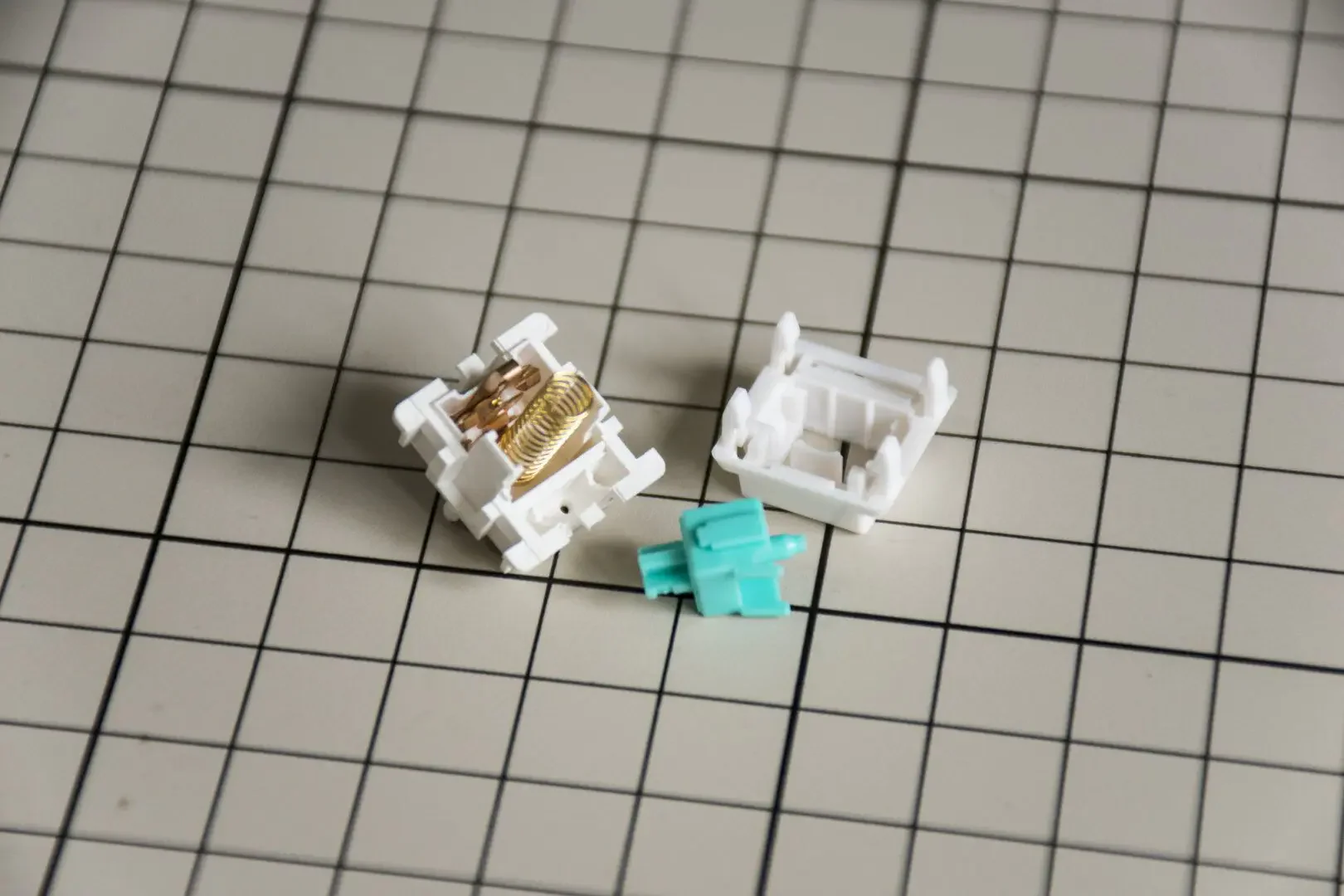 [In Stock] Jungle Linear Switches - Image 6
