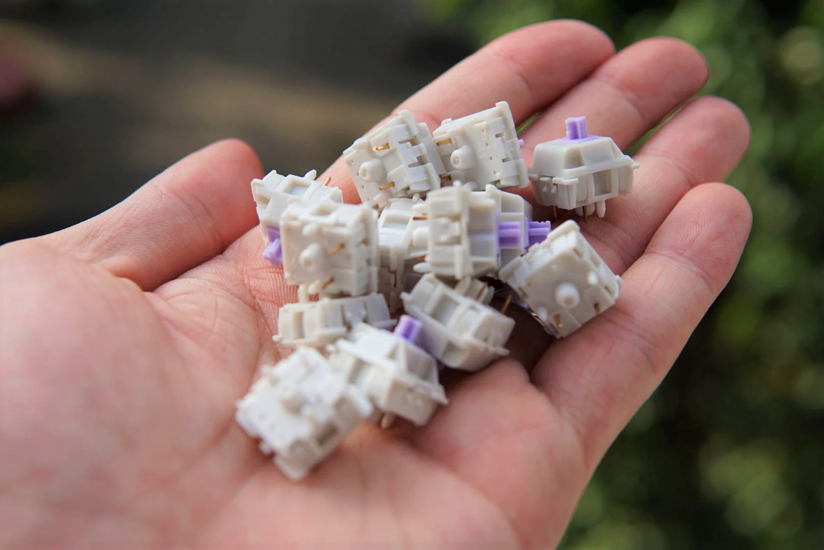 [In Stock] Lilac Linear Switches - Image 4
