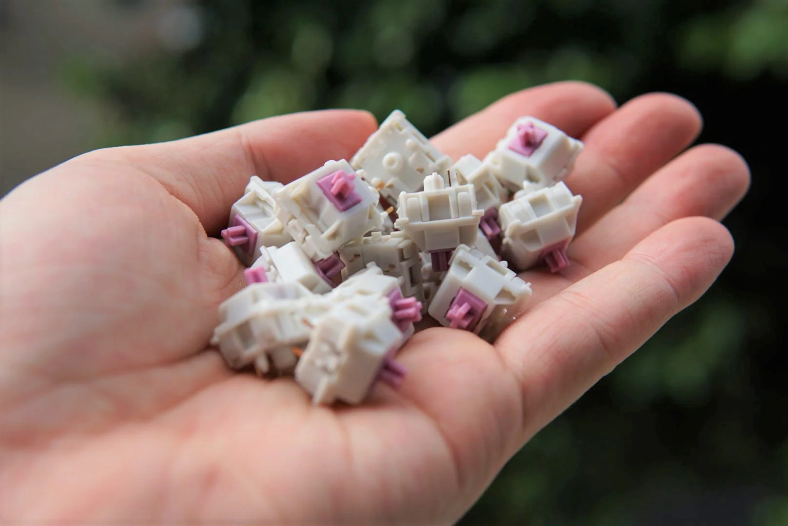 [In Stock] JWK Mauve Linear Switches - Image 2