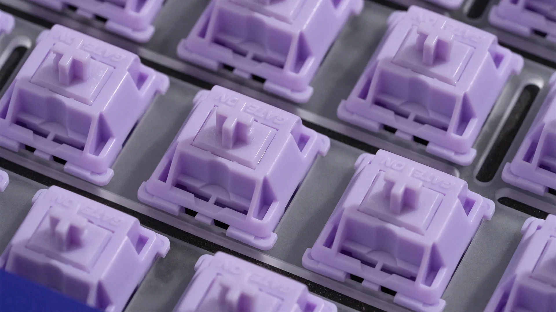 [In Stock] WS POM+ Switches - Image 2